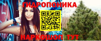 крисы Братск